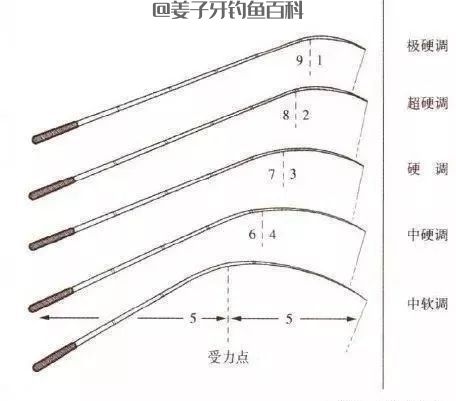 钓鱼：不懂这些鱼竿黑话，都不好意思说自己是钓鱼人