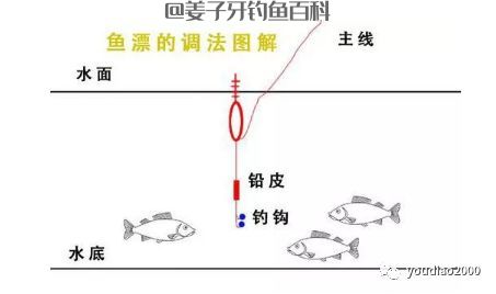 超实用的鱼漂调法，新手一看便懂操作！