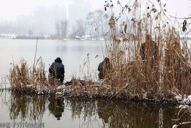 钓鱼不可死等候，东河没鱼西河走，遇到这几种情况要果断换钓位