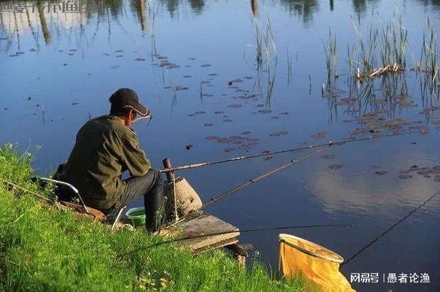 初春垂钓没鱼口？掌握住这4款饵料配方，鱼会越聚越多