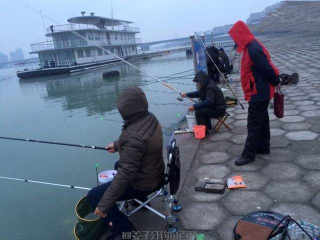 冬季鱼难钓，不如试试钓鲢鳙，能钓上来的都是大的