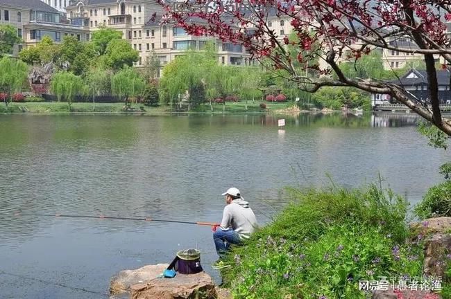 初春垂钓没鱼口？掌握住这4款饵料配方，鱼会越聚越多