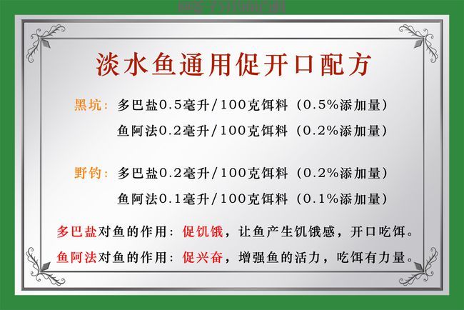 冬季能否钓鲢鳙？用什么味型的饵料？钓底还是钓浮？冬钓鲢鳙技巧