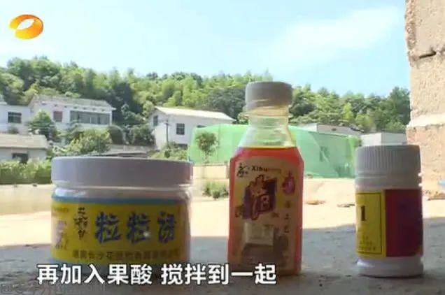 揭秘毒鱼饵10秒诱鱼上钩的真相