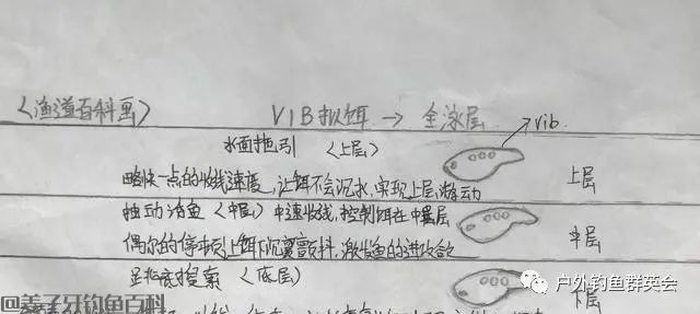 新手路亚应如何选择拟饵？以泳层选择，让假饵活起来