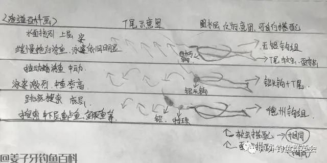 新手路亚应如何选择拟饵？以泳层选择，让假饵活起来