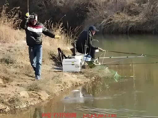 冬季钓鱼的最佳时间? 适合钓什么鱼种？